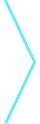 Loony Bingo arrow