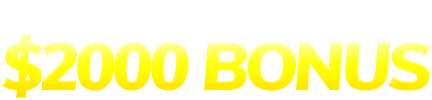 Loony Bingo $2000 bonus